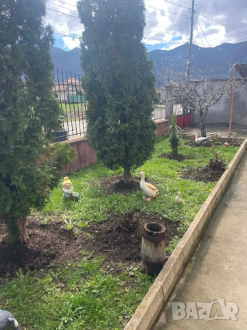 Къща на 2-етажа в кв. Кулата , снимка 4 - Къщи - 54006475