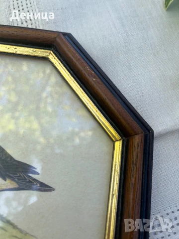 Рамкиран принт изобразяващ две синьо-зелени патици💙💚 , снимка 3 - Антикварни и старинни предмети - 51078249