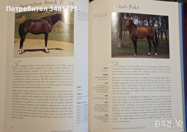 Hamlyn All Colour Guide to Horses, снимка 6 - Енциклопедии, справочници - 53251507
