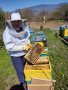 Пчелни кошери - Кошери - Pchelni kosheri - Kosheri , снимка 4