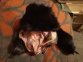 Кожени ръкавици.  Кожена шапка естествен косъм цена 35 евро , снимка 3