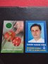 Две КАЛЕНДАРЧЕТА Панайот Рейзи кандидат кмет Созопол - държавна лотария за КОЛЕКЦИЯ 35330, снимка 1 - Колекции - 39207603