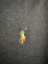 Polo Ralph Lauren Shirt., снимка 2