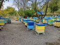 Пчелни семейства кошери ., снимка 5