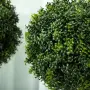 HOMCOM Комплект от 2 изкуствени чемширови топиарни топки 45 см, снимка 9
