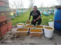 Пчелен мед на едро , снимка 9