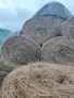 Рулонни бали ливадно сено/Рулонни бали люцерна, снимка 2