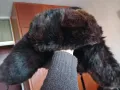 Кожена шапка тип ушанка, снимка 4