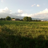 12 декара земеделска земя в С.АЛЕКСАНДРОВО, снимка 9 - Земеделска земя - 35774698