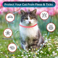 Нов предпазен нашийник за котки срещу бълхи и кърлежи Регулируем Водоустойчив , снимка 4 - За котки - 42096724