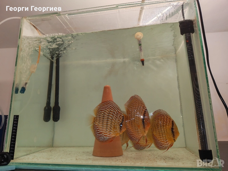 Прпдавам аквариуми, снимка 1