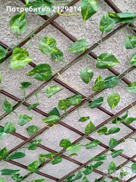 Декоративна ограда, снимка 1