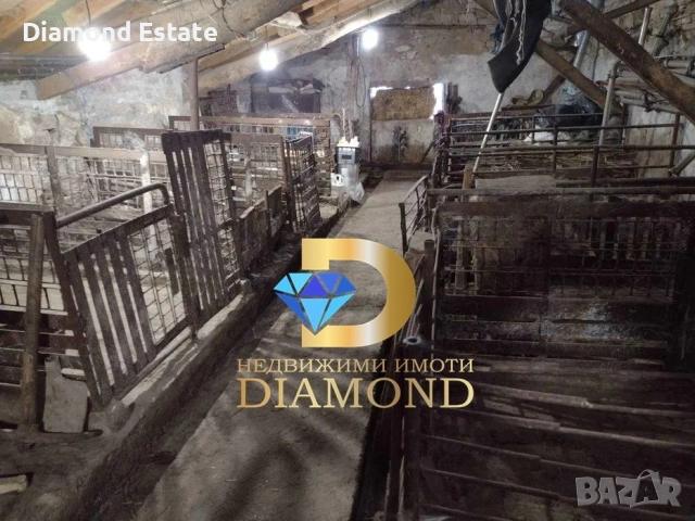 Ферма за животни в село Спасово, общ. Чирпан, снимка 6 - Други - 52455915