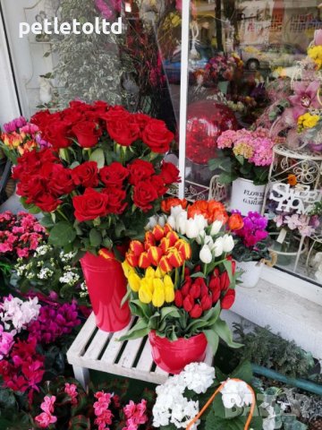 Ваза за цветя в атрактивен малиново червен цвят (сет от 6 бр), снимка 3 - Декорация за дома - 39841475