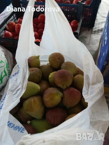 Продавам смокини екологично чисти, снимка 3 - Домашни продукти - 55848989