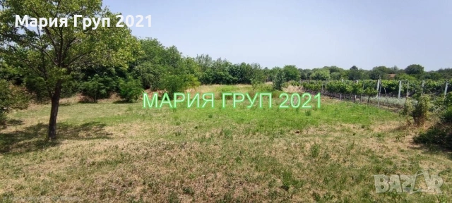 !!!ТОП ОФЕРТА!!!Продавам Двуетажна Къща в село Ценово област Стара Загора!!!, снимка 6 - Къщи - 54205308