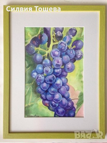 Blue Cabernet #грозде #bluecabernet #оригинал, снимка 1 - Картини - 29342570