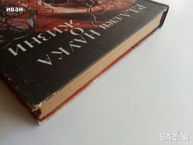Наука о жизни - Р.Д.Аллен - 1981г., снимка 12 - Специализирана литература - 36836792