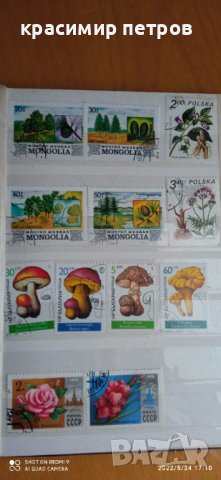 Пощенски марки колекция, снимка 7 - Филателия - 37430902