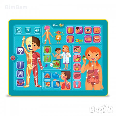 Образователен таблет - Човешкото тяло - Thinkle Stars , снимка 2 - Образователни игри - 35534010