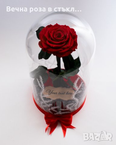 Романтичен подарък за приятелка / ЕСТЕСТВЕНА вечна роза в стъкленица / Подарък за Рожден Ден на Жена, снимка 2 - Градински цветя и растения - 24090675