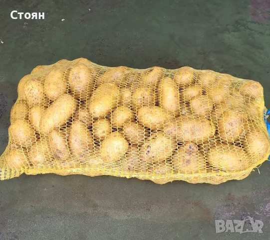 Картофи доставка до адрес в гр софия , снимка 2 - Домашни продукти - 56433715