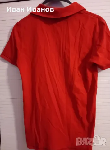 Оригинална фланелка с яка Napapijri, снимка 9 - Тениски - 49601814