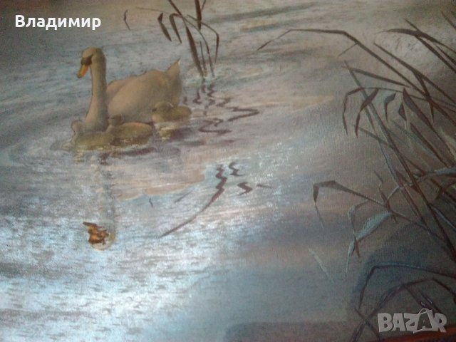 Картина с преливащ ефект при смяна на светлината, снимка 7 - Картини - 44276316