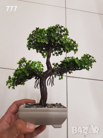 Бонсай , Бонзай, снимка 5 - Изкуствени цветя - 38915633