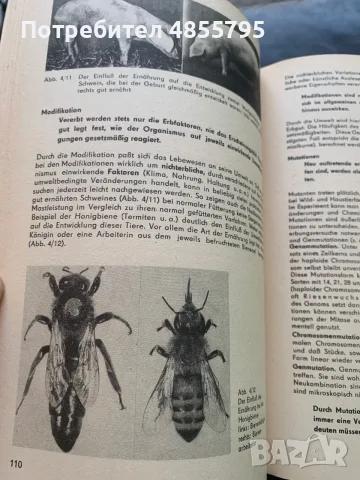 германска книга „Wildtiere in Menschenhand: Grundlagen“ (Диви животни в човешки ръце: , снимка 4 - Чуждоезиково обучение, речници - 55800772