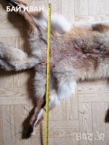 КОЖА ОТ ЛИСИЦА , снимка 6 - Други животни - 52121490