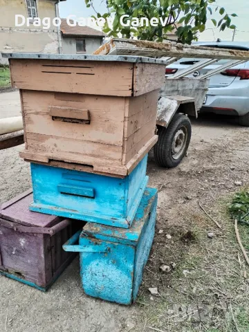 стари кошери и рамки три размера. , снимка 8 - Градинска техника - 48847252