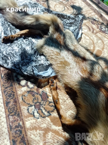 Кожена яка от лисица, снимка 6 - Шалове - 54312760