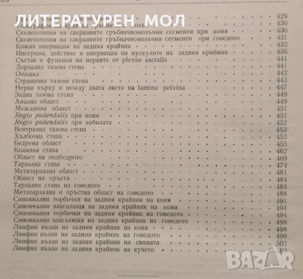 Топографска анатомия на домашните животни. Второ издание. Стефан Иванов, 1958г., снимка 7 - Специализирана литература - 32109024