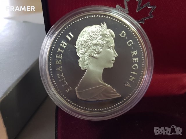 1 сребърен долар 1982 година Канада Елизабет II сребро в ТОП качество, снимка 5 - Нумизматика и бонистика - 35285175
