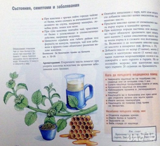 ЗДРАВЕ ЧРЕЗ ПРИРОДОЛЕЧЕНИЕ-ДОМАШНИ СРЕДСТВА, снимка 8 - Други - 37674532
