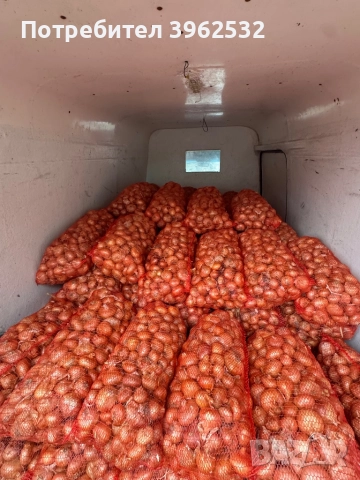 Продавам лук Лясковски 