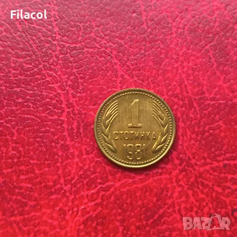 1 стотинка 1981 година