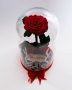 Романтичен подарък за приятелка / ЕСТЕСТВЕНА вечна роза в стъкленица / Подарък за Рожден Ден на Жена, снимка 2