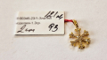 Златна висулка 1.3гр, снимка 1 - Колиета, медальони, синджири - 44652046