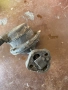 бензинови помпи Volvo penta, снимка 3