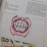 Атлас по терапевтична стоматология на Руски, снимка 3 - Енциклопедии, справочници - 40638518