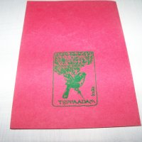 Ръчно рисувана картичка върху листо от дървото Бодхи, Индия 1, снимка 5 - Други ценни предмети - 35593571