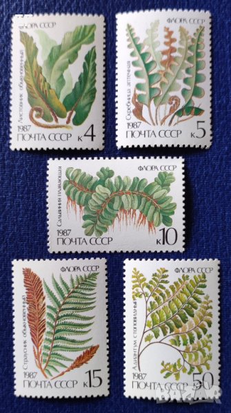 СССР, 1987 г. - пълна серия чисти марки, флора, снимка 1