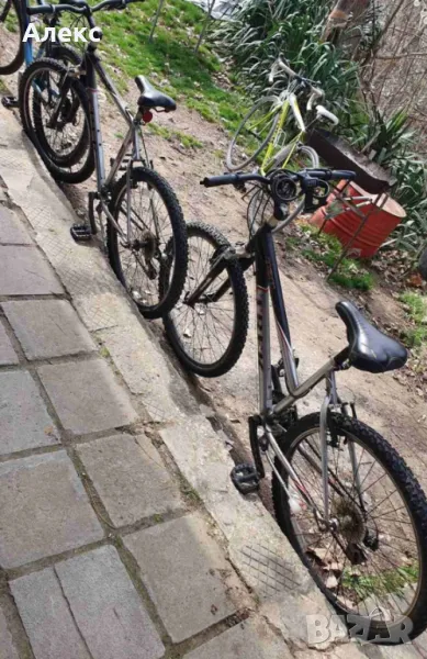 Планински велосипеди, мъжки и женски, снимка 1