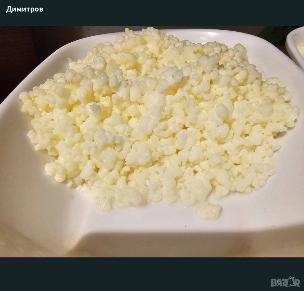 Подарявам тибетска кефирена гъба за млечен кефир , снимка 1