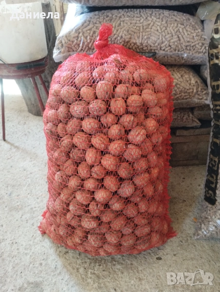 Продавам орехи и лешници , снимка 1