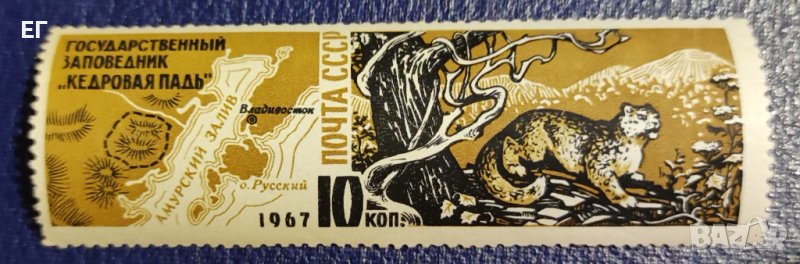 СССР, 1967 г. - самостоятелна пощенска марка, фауна, 1*3, снимка 1