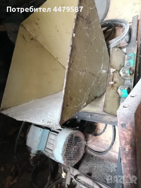 Гроздомелачка трифазна, снимка 1