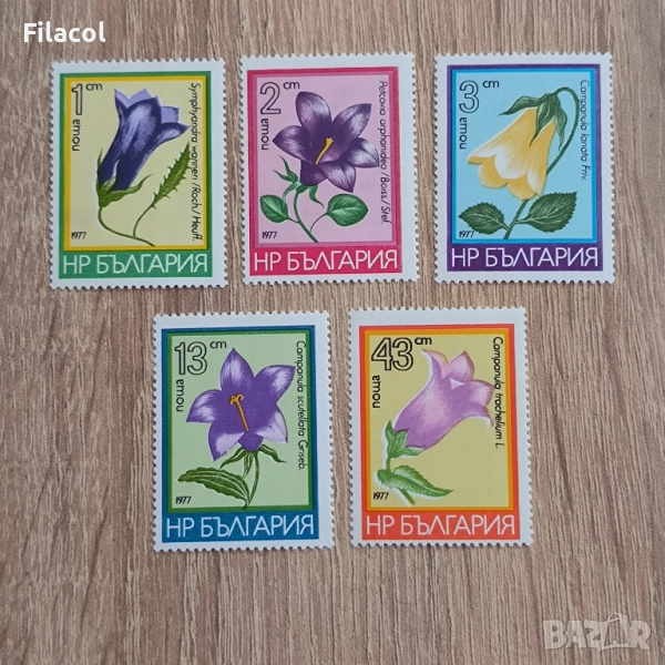България 1977  Планински цветя (семейство "Камбанкови")., снимка 1